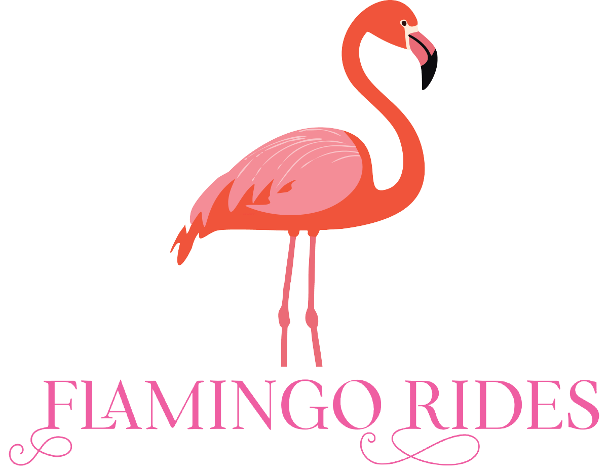 Flamingo Rides